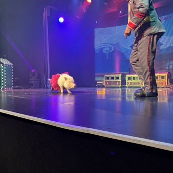 Popovich Comedy Pet Theater - Performing Arts Near Me - Las Vegas, Nevada Popovich Comedy Pet Theater - Performing Arts Near Me - Las Vegas, Nevada