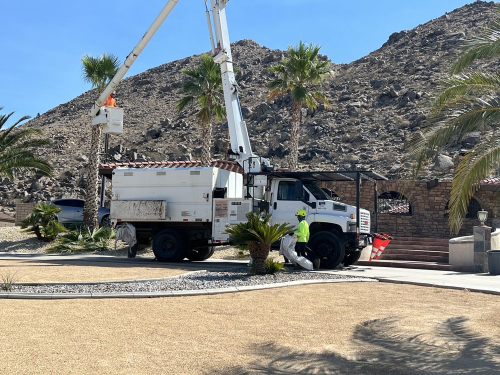 TOP TIER TREE SERVICE AND MAINTENANCE - Updated March 2025 ...