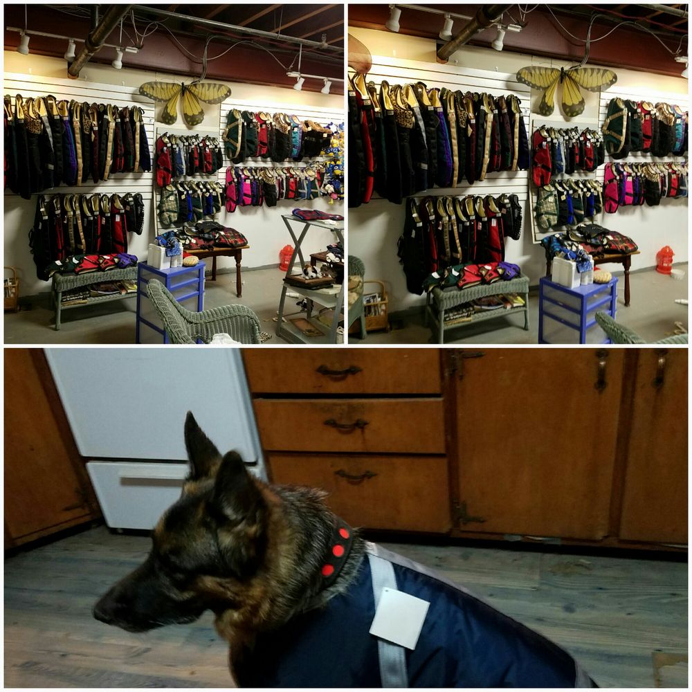 FOGGY MOUNTAIN DOG COATS 10917 Rawley Rd, New Market, Maryland