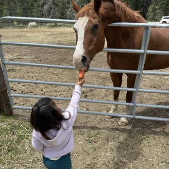 Alpine Meadows Stables - Horseback Riding Near Me - Tahoe City, California Alpine Meadows Stables - Horseback Riding Near Me - Tahoe City, California