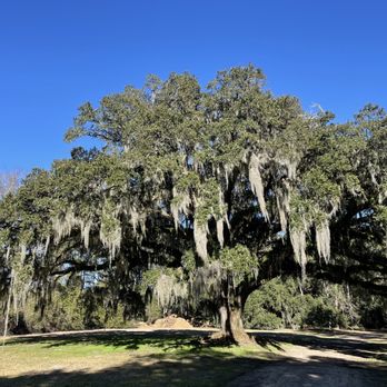 Mullet Hall Equestrian Center - Horseback Riding Near Me - Johns Island, South Carolina