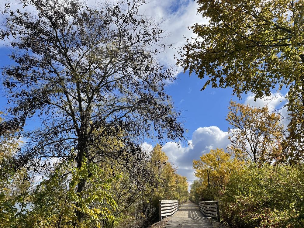 Al's Country Market Logo