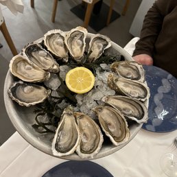 Oysters! Oysters!