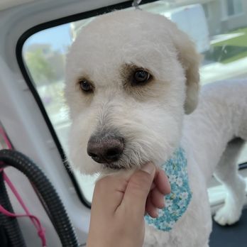 Aussie Pet Mobile Chino Hills - Pet Groomers Near Me