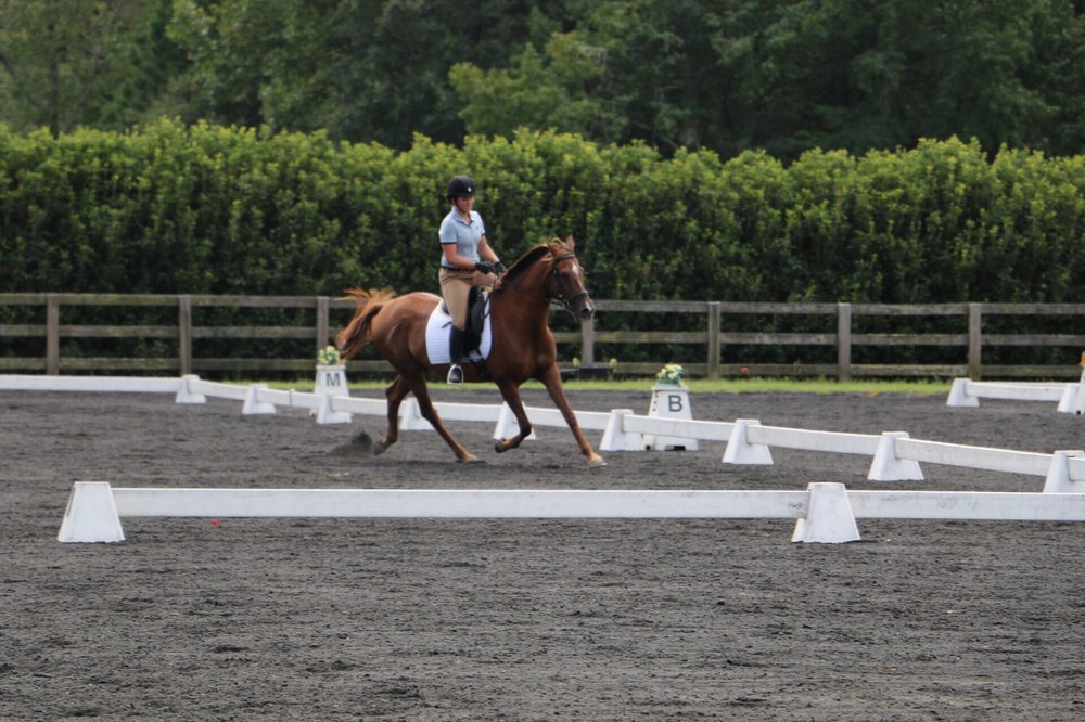 Poplar Place Farm Equestrian Center - equestrian in Hamilton, GA