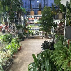BooSH Nursery