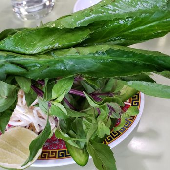 Pho 54 - Look at those fresh cleane herbs! - Vietnamese Near Me - Westminster, California Pho 54 - Look at those fresh cleane herbs! - Vietnamese Near Me - Westminster, California