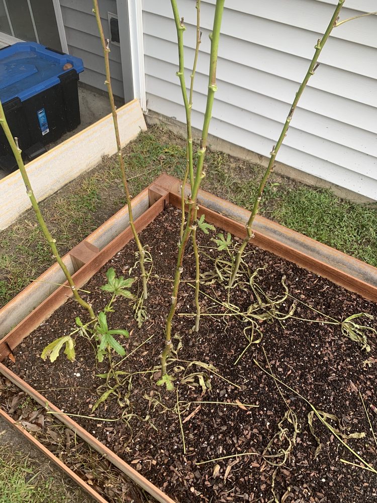 PRESSURE WASH KING Updated August 2024 16 Reviews North