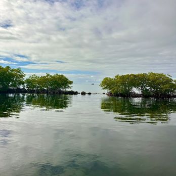 Rowell's Waterfront Park - Parks Near Me - Key Largo, Florida