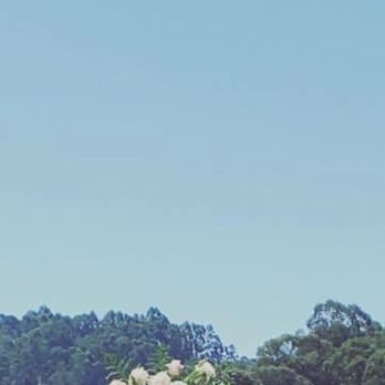 A Love's in Bloom - Beautiful flowers & greenery on top of the wedding arch !  Perfect & totally fit what we wanted ! - Florists Near Me