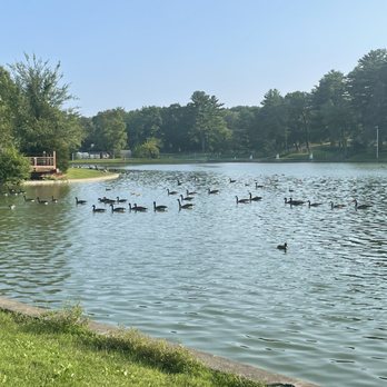 Central Park - Parks Near Me - Schenectady, New York