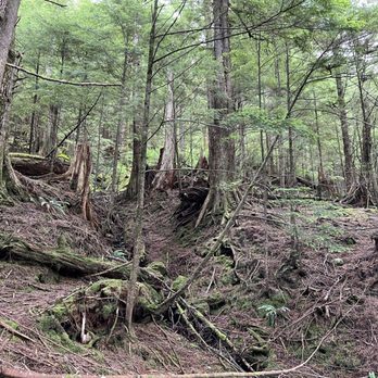 Rainbird Trail - 2024 July 24 - Hiking Near Me - Ketchikan, Alaska Rainbird Trail - 2024 July 24 - Hiking Near Me - Ketchikan, Alaska