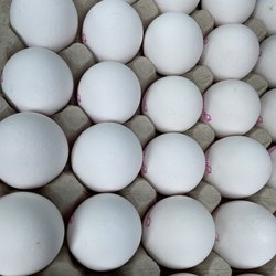 Ekne Gårds Produkter - Farm fresh eggs. Cheap and fresh.