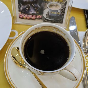 Abbiocco Alternative Filipino - Premium Kopi Lowak - Filipino Near Me - Quezon City, NCR Abbiocco Alternative Filipino - Premium Kopi Lowak - Filipino Near Me - Quezon City, NCR