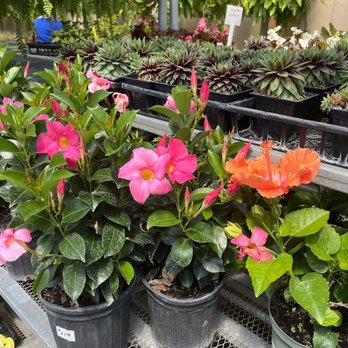 Rightway Garden Center - Landscaping Near Me - Burlington, Kentucky