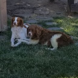 Paisleyann and Mia would also like to say thank you guys and we will see you soon! Love alway paisleyann and Mia Mae