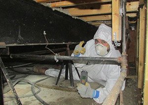 Slide of Triskell Restorations