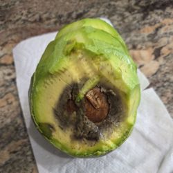 This is what happens when an avocado is kept at 40° or less for a period of time. The other one I purchased was worse.