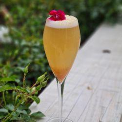 The Dishery - Seasonal fruit Bellini