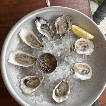 Coconuts - Oysters (4 varieties) - Seafood Near Me - Fort Lauderdale, Florida Coconuts - Oysters (4 varieties) - Seafood Near Me - Fort Lauderdale, Florida
