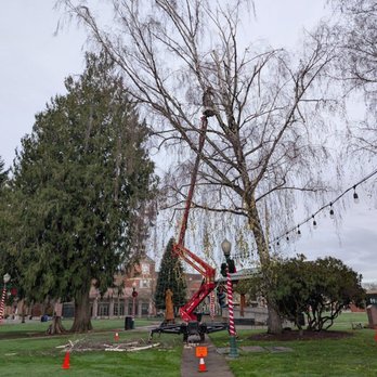 Salish Sea Tree Care & Consulting - Tree Services Near Me - Sumner, Washington Salish Sea Tree Care & Consulting - Tree Services Near Me - Sumner, Washington