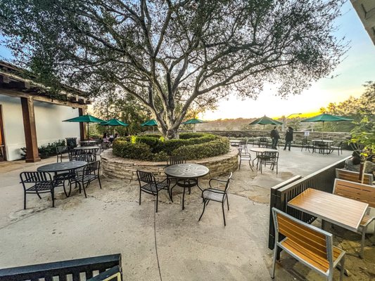 TACO MESA - 182 Photos & 367 Reviews - 27702 Crown Valley Pkwy, Ladera ...