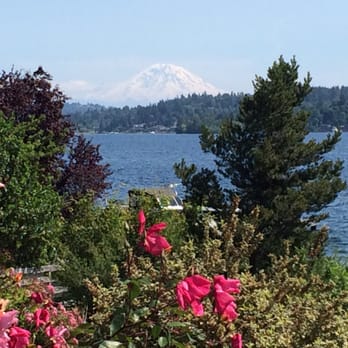 Medina Beach Park - May 30th, Mt. Rainier clearly visible - Parks Near Me - Medina, Washington Medina Beach Park - May 30th, Mt. Rainier clearly visible - Parks Near Me - Medina, Washington