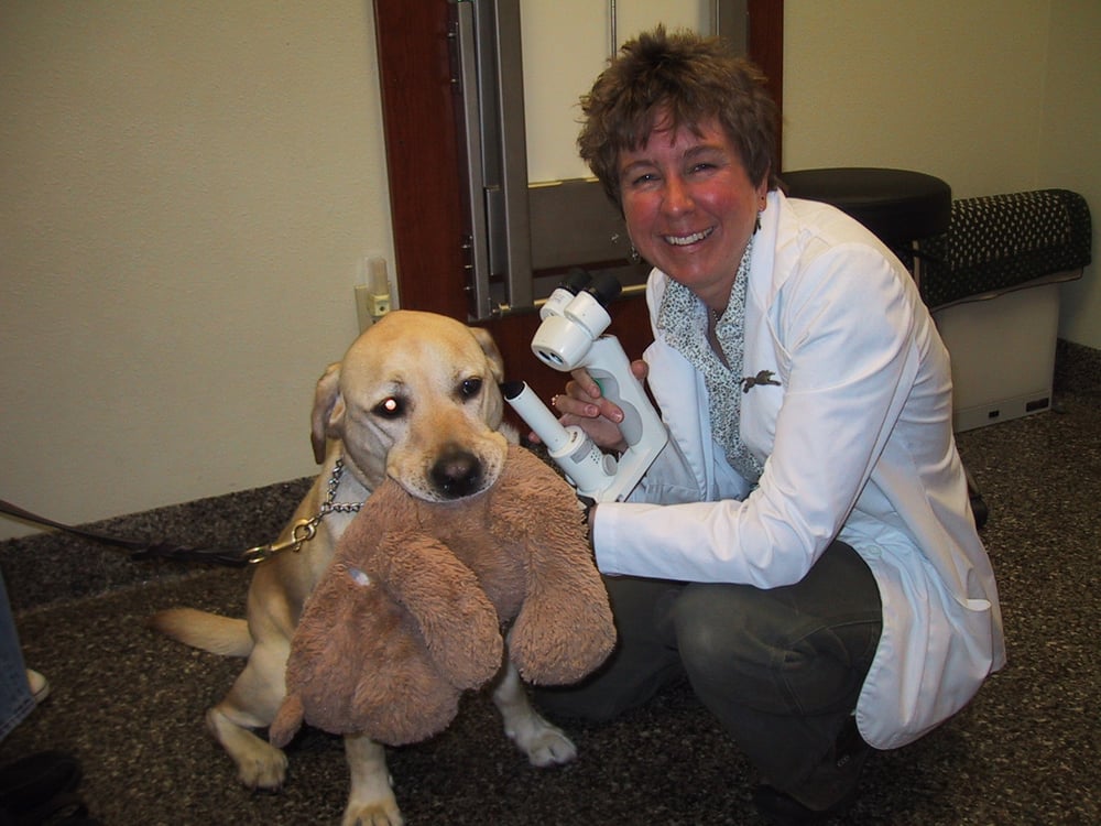 ANIMAL EYE SPECIALISTS Updated August 2024 1245 SE 3rd St, Bend