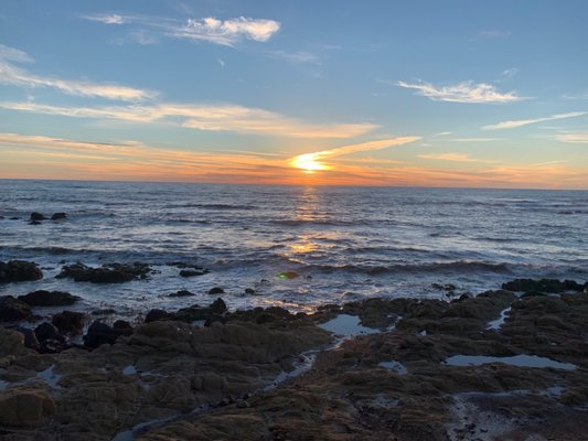 SEA OTTER INN - Updated December 2024 - 236 Photos & 188 Reviews - 6656