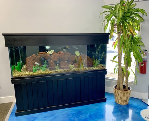 Hollywood Health Club by null