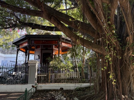 Princesa - Cocina Cultura by null