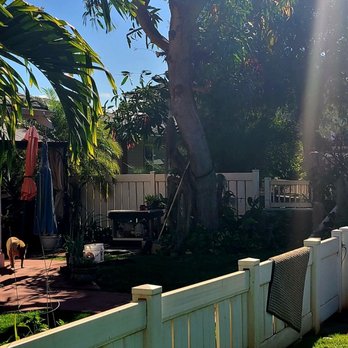 Espitia’s Tree Service - Alejandro and crew did a fantastic job. AFTER - Tree Services Near Me Espitia’s Tree Service - Alejandro and crew did a fantastic job. AFTER - Tree Services Near Me