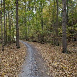 Reservoir Creek Golf Course - Cart path through the woods