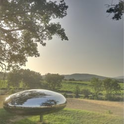 Château de Lacoste - Architecture, art, nature, raison et olive !