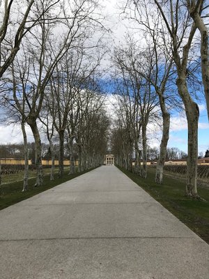 Château Margaux by null