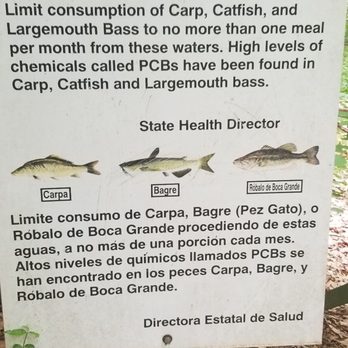 William B Umstead State Park - Fish advisory - Hiking Near Me - Raleigh, North Carolina William B Umstead State Park - Fish advisory - Hiking Near Me - Raleigh, North Carolina