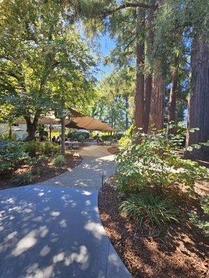 Sequoia Grove Winery by null