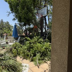 I M Landscaping - I think they help me cut down half the tree so happy!!