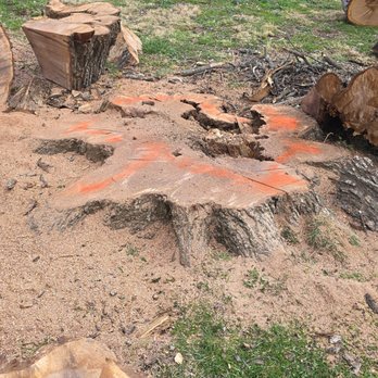 Enchanted Tree Service - Tree Services Near Me - Williamsport, Maryland Enchanted Tree Service - Tree Services Near Me - Williamsport, Maryland