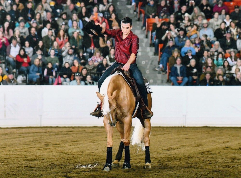 Luke Gingerich Horsemanship - equestrian in Plain City, OH
