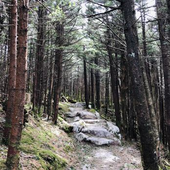 Mount Mitchell State Park - Parks Near Me - Burnsville, North Carolina