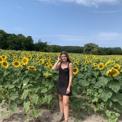 Degen Farm - Sunflower Fields at Degen Farm