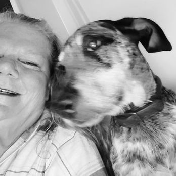 Veterinary Emergency Group - Emergency Pet Hospital Near Me - Chandler, Arizona Veterinary Emergency Group - Emergency Pet Hospital Near Me - Chandler, Arizona