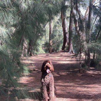 Wolf Lake Park - Parks Near Me - Davie, Florida