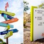 Photo of Signs of Success