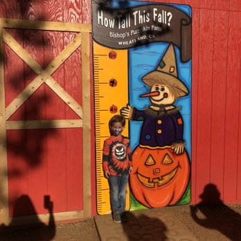 Bishop's Pumpkin Farm - Christmas Trees Near Me - Wheatland, California Bishop's Pumpkin Farm - Christmas Trees Near Me - Wheatland, California