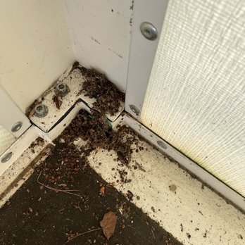 PODS Moving & Storage - bug nest and dirt and debris- bugs were both alive and dead - Movers Near Me - Bristol, Connecticut PODS Moving & Storage - bug nest and dirt and debris- bugs were both alive and dead - Movers Near Me - Bristol, Connecticut