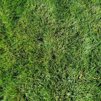 Storjohann Trucking - Compost makes my grass green and the savings at storjohann trucking fill my wallet with more green - Junk Removal & Hauling Near Me - Henderson, Colorado Storjohann Trucking - Compost makes my grass green and the savings at storjohann trucking fill my wallet with more green - Junk Removal & Hauling Near Me - Henderson, Colorado