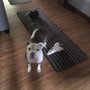 Photo of Hamilton Hills Animal Hospital