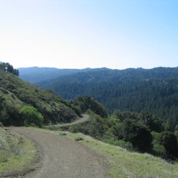 Monte Bello Open Space Preserve - As the haze dissipated, the sky slowly turned blue and the valley began to show off it's majestic lush green color. - Hiking Near Me - Palo Alto, California Monte Bello Open Space Preserve - As the haze dissipated, the sky slowly turned blue and the valley began to show off it's majestic lush green color. - Hiking Near Me - Palo Alto, California